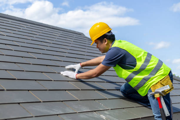 Best Flat Roof Repair Services  in Mapleton, ND
