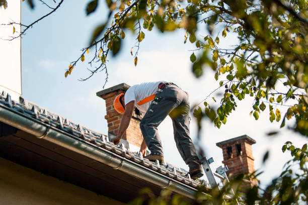 Best Roof Replacement Cost  in Mapleton, ND