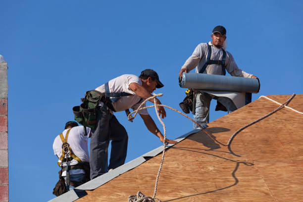 Best Roof Replacement Cost  in Mapleton, ND