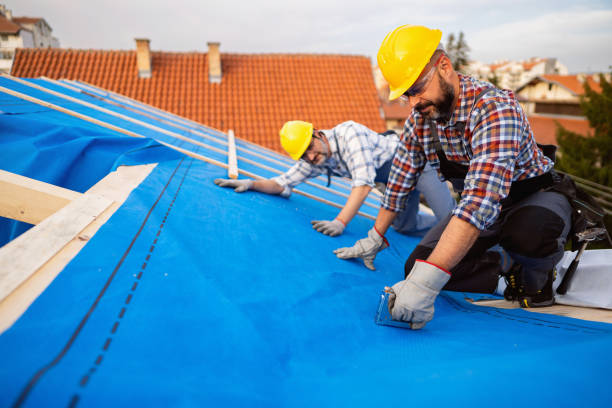 Best New Roof Installation  in Mapleton, ND