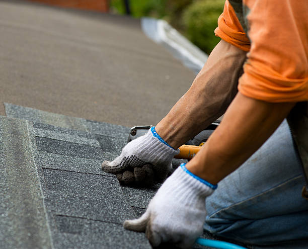 Quick and Trustworthy Emergency Roof Repair Services in Mapleton, ND