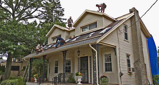 Best Residential Roofing Contractor  in Mapleton, ND