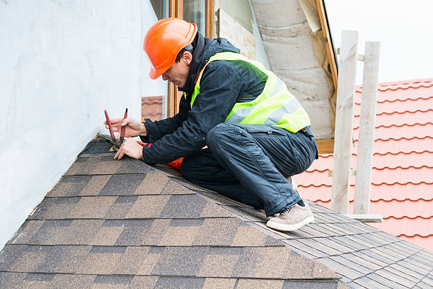 Best Best Roofing Contractors  in Mapleton, ND